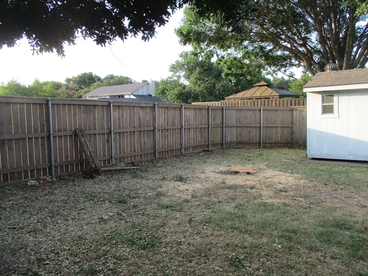 Cleared yard after professional tree removal in Wampsville